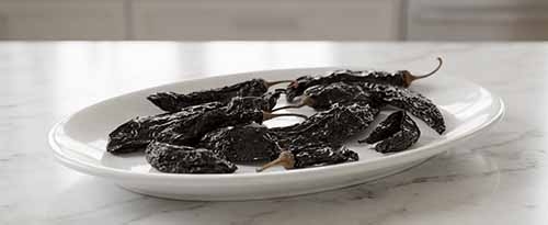 Pasilla Chiles