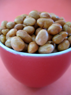 Soy Nuts