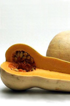 Butternut Squash