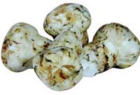 Matsutake Mushrooms