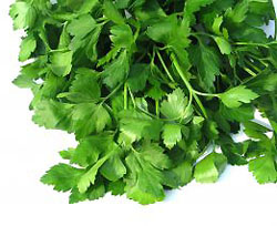 Parsley