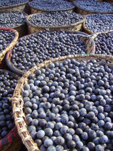 Acai Berries