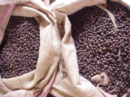 Coffee Beans