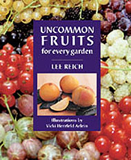 Uncommon Fruits For Every Garden