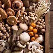 Musshrooms