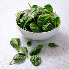 Baby Spinach