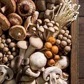 Mushrooms