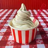 Frozen Custard