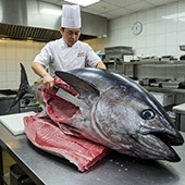 Bluefin Tuna