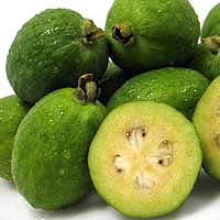 feijoa