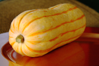 delicata squash