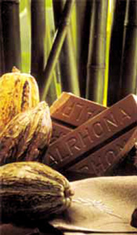 Valrhona Chocolate