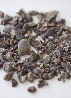 Cacao Nibs