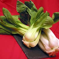 bok choy