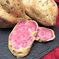 okinawa sweet potato