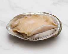 Whole Abalone