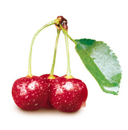 Montmorency Cherries