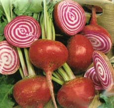 Beets