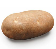 Russet Norkotah Potato