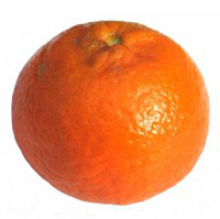 Navel Orange