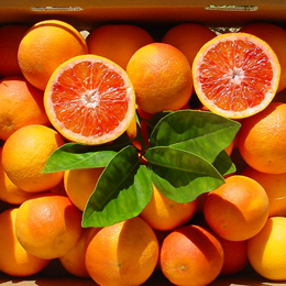 Organic Blood Oranges