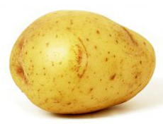 Potato