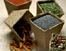 Pinch Plus Spice Boxes