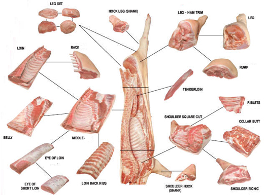 Australian Pork Cuts Chart