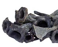 Black Trumpet Mushroom