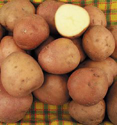 Kerr's Pink Potatoes