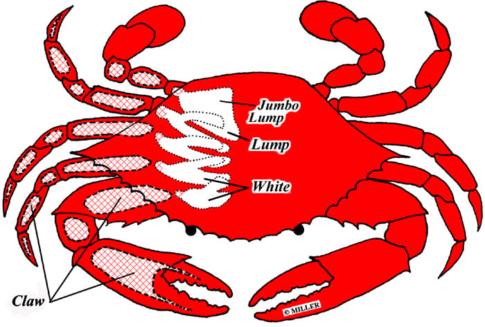 Crab Diagram