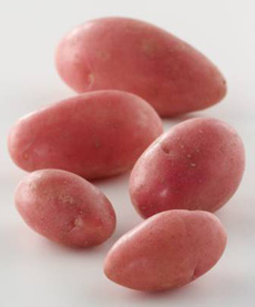 French Fingerling Potato