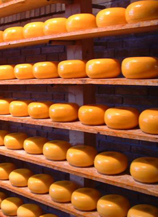 Cheese aging