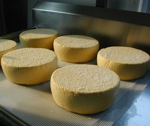 Menuet Wheels