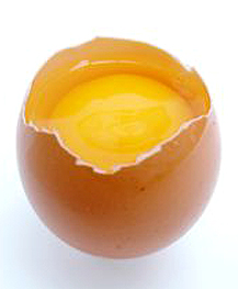 Egg Yolk