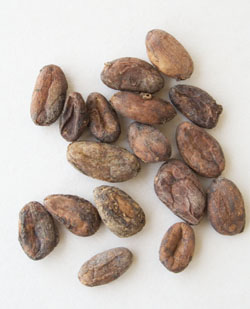 Cacao Beans