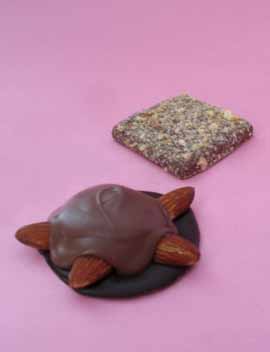 Chocolate Turtle