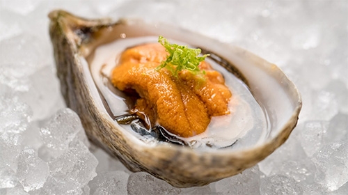 Sea Urchin Atop Oystrr In Shell