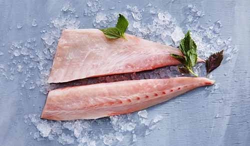 Kampachi Fillets