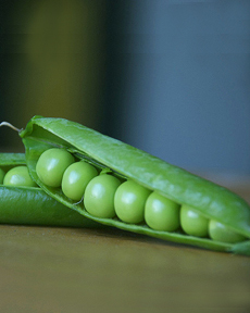 Pea Pods