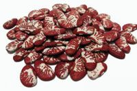 Anasazi Beans