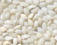 Arborio Rice