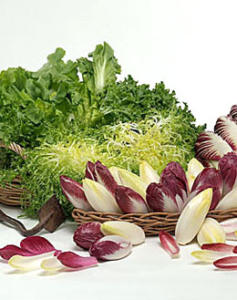 Types Of Endive