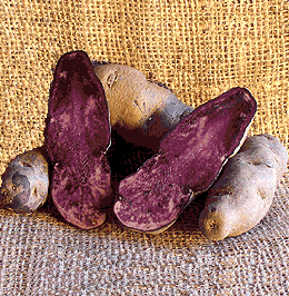 Peruvian Potatoes