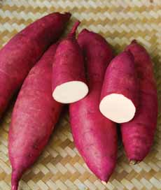 Murasaki Purple Sweet Potatoes