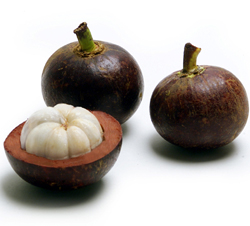 Mangosteen