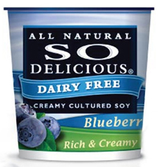 So Delicious Yogurt