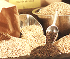 Organic malted grains