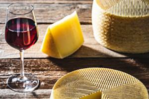 The Nibble Blog logo