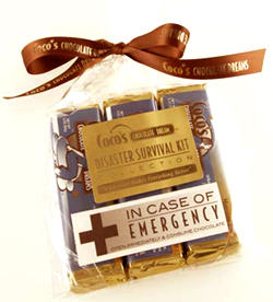 Disaster Survival Kit